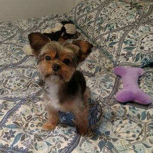 Meet your Posher, Sandra